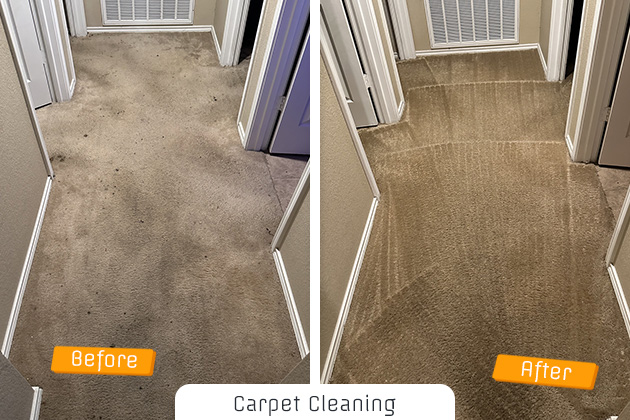 Carpet Cleaning