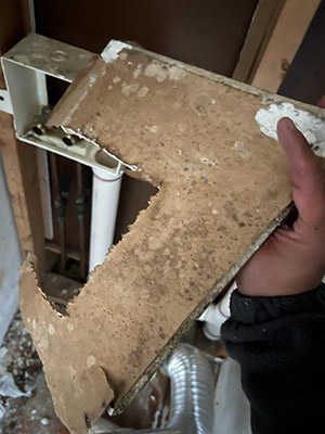 Mold And Water Damage Restoration