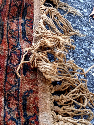 Oriental Rug In Plant Cleaning