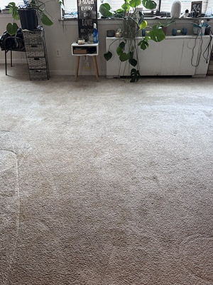 Residential Carpet Cleaning