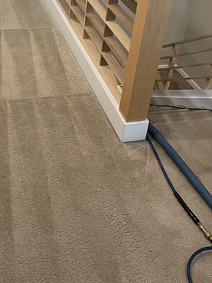 Wall To Wall Carpet Cleaning