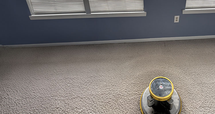 Professional Carpet Cleaning Services