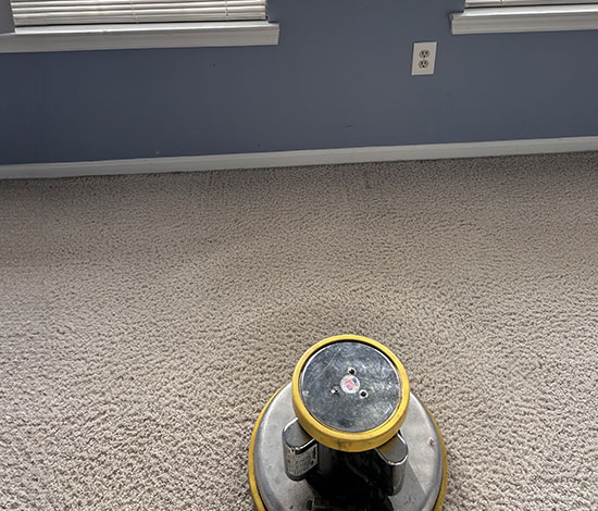 Professional Carpet Cleaning Services