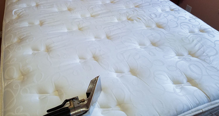 Mattress Cleaning and Alergy Treatment