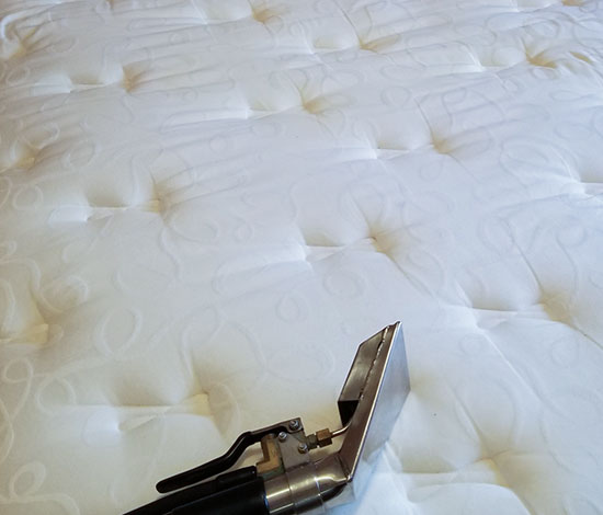 Mattress Cleaning and Alergy Treatment