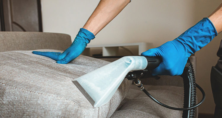 Upholstery Cleaning